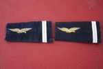 MILITARIA 2 EPAULETTES DE GRADE GALON MILITAIRE ARMEE DE L´AIR    A IDENTIFIER MERCI ? - Equipaggiamento