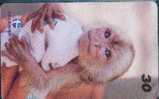 # BRASIL 9910A5 Baby Zoo - Caiarara Branco -animal,monkey,singe-  30  10.99 Tres Bon Etat - Brasilien