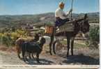 Chypre - Paphos - The Villager - Zypern