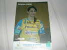 Carte Postale Postcard Championnes De France Saison 2007 2008 Champion Season METZ HANDBALL Delphine Guehl FRANCE - Handbal