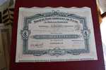 1923 SCRIPOPHILIE TITRE OU ACTION SOCIETE INDUSTRIELLE DU CUIR LE SMELCO FRANCAIS  100 FRANCS - Industry