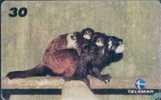 # BRASIL 9910A3 Baby Zoo - Sagui Bigodeiro -animal- 30  10.99 Tres Bon Etat - Brasilien