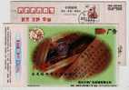 Wrist Watch,China 1999 Shaoxing Daming Advertisement & Decoration Company Advertising Pre-stamped Card - Orologeria