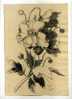 - FLEURS . DESSIN  SIGNE ET DATE 1901 - Drawings