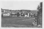 48 // LANGOGNE - Vue Générale Et Le Pont Neuf, CPSM 9 X 14 APA POUX - Langogne