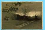 B - ILLUSTRATEUR - MAILICK Alfred - Avant 1903 - Paysage - N° 5718 W W - Mailick, Alfred