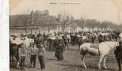 CPA - 62 - HESDIN - Le Marché Aux Chevaux - 178 - Hesdin