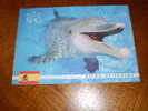 Delphin Postkarte Postcard - Delfines