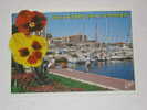 (203) VENDUE Au 1ér Acheteur !--1- Carte Postale Sur St Cyprien Saint Cyprien - Saint Cyprien