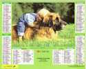 CALENDRIER  ALMANACH DU FACTEUR . ANNEE 1994 - Lavigne  -Photos Zintzmeyer/Jerrican  Et F. Nicaise - Big : 1991-00