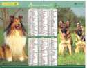 CALENDRIER ALMANACH DU FACTEUR . ANNEE 2007 - Lavigne - - Grand Format : 2001-...