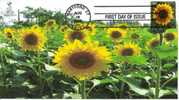 Sunflower First Day Cover, From Toad Hall Covers! - 2001-2010