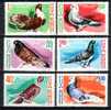 Romania 1981 / Pigeons - Unused Stamps