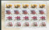 2002 CHINA Desert Plants F-SHEET(5 SETS) - Blocks & Sheetlets