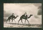 CPSM - Ermenonville (60) - Les Dromadaires De La Mer De Sable ( Animée Dromadaire Camel Photo R. Gendre ) - Ermenonville