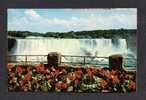 NIAGARA FALLS CAUGHT BY THE CAMERA FROM A SECTION OF ONTARIO PARKS COMMISSION FLORAL DISPLAY - Cataratas Del Niágara
