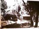 ADIS ABEBA ETIOPIA Periferia Villaggio   CAPANNE SCORCIO FOTO  17,5 X 12,5 1940 ? CB3093 - Erythrée