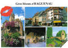 Carte Postale 67. Haguenau  Trés Beau Plan - Haguenau