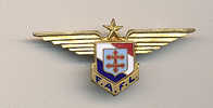 FORCES  AERIENNES  FRANCAISES  LIBRES - Airforce