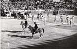 Corrida De Torros - El Paseillo  :Achat Immédiat - Bull