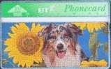 # UK_BT BTC138 Spring In The Air - Sunflower & Dog No2 100 Landis&gyr -animal,chien,dog-  Tres Bon Etat - BT Herdenkingsuitgaven
