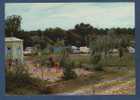 34 HERAULT - CP CAMPING POINTE A LA BISE - TEL 15 A SATURARGUES - ROUTE DE LUNEL A SOMMIERES - ANIMATION - Lunel