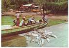 Dép 973 - Dom - Guyane - RF9471 - Ile De Cayenne - Retour De Pêche Au " Degrad Des Cannes" - Grand Format - état - Cayenne