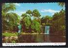 Bahamas Postcard West Indies - Garden Of The Groves - Ref 460 - Bahama's