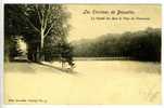 Les Environs De Bruxelles - Le Grand Lac Dans Le Parc De Tervueren - Nels Serie 11 N° 33 - Konvolute, Lots, Sammlungen
