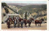 USA. Yellowsone Park. Four Horses Coaching Party. Old Postcard. - Other & Unclassified