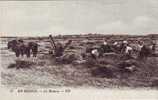 En Beauce  La Moisson - Centre-Val De Loire