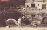 EN BEAUCE     Coin De Ferme - Centre-Val De Loire