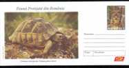 2009 Stationery Cover, Ptotected Fauna,Lynx And Tortues, Very Nice Romania. - Turtles
