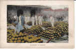 Netherlands, Alkmaar. Cheese Markets. Kaasmarkt.old Postcard. - Alkmaar