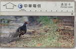 # TAIWAN 9999-4 Bird 3 100 Landis&gyr -birds,oiseaux-   Tres Bon Etat - Taiwan (Formosa)