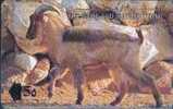 # OMAN 32 The Rare And The Beautiful - Arabian Tahr 5 Gpt 01.93 -animal- Tres Bon Etat - Oman