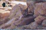 # OMAN 30 The Rare And The Beautiful - The Caracal Lynx 1,5 Gpt 01.93 -animal- Tres Bon Etat - Oman