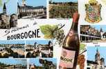 71 Souvenir De BOURGOGNE (Tournus,Dijon,Santenay,Beaune,Saulieu,Semur,Nuits St Georges,Macon) ,bouteille De Vin - Bourgogne