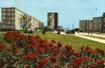 91 ST MICHEL SUR ORGE Residence Bois Des Roches Architecte M Royer Peris - Saint Michel Sur Orge