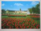 Karlsruhe - Schloss Tulpen - Karlsruhe