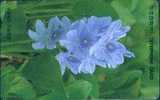 # KOREA MO9510133 Violet Flower 2000 Autelca 10.95 -fleurs,flowers- Tres Bon Etat - Korea (Zuid)