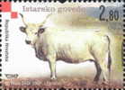 ISTRIAN OX Croatian Autochthonous Breeds ( Croazia MNH** ) Cattle Cow Cows Vache Vaches Mucche Vacuno Buey Bue Toro - Mucche