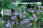 # FINLAND D78 Spreading Bellflowers 30 Sc7 07.95 Tres Bon Etat -fleurs,flore,flowers- - Finlandia