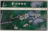 # TAIWAN 8025 Flowers  100 Landis&gyr -flowers,fleurs-   Tres Bon Etat - Taiwan (Formose)