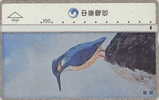 # TAIWAN 8040 Bird 100 Landis&gyr -birds,oiseaux-   Tres Bon Etat - Taiwan (Formosa)