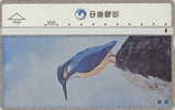 # TAIWAN 8040 Bird 100 Landis&gyr -birds,oiseaux-   Tres Bon Etat - Taiwan (Formose)