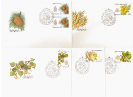 Russia USSR 1980 FDC X 5 Protected Trees And Shrubs, Tree Berries Berry Flora - FDC