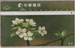 # TAIWAN 8051 Flowers 100 Landis&gyr -flowers,fleurs-   Tres Bon Etat - Taiwan (Formosa)