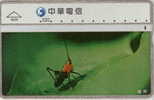 # TAIWAN 8008 Insect 100 Landis&gyr   Tres Bon Etat - Taiwan (Formosa)