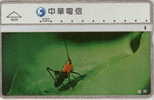 # TAIWAN 8008 Insect 100 Landis&gyr   Tres Bon Etat - Taiwan (Formose)